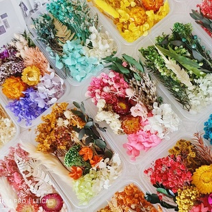 永生花材料包干花相框团扇画贺卡干花曙光天然真花盒滴胶diy沙龙