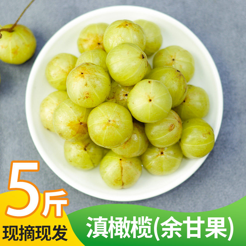 云南滇橄榄鲜果余甘子新鲜采摘油甘果高山清甜稀有水果腾冲生橄榄,水产肉类/新鲜蔬果/熟食,橄榄,淘宝优惠券,粉丝福利购,淘宝优惠卷