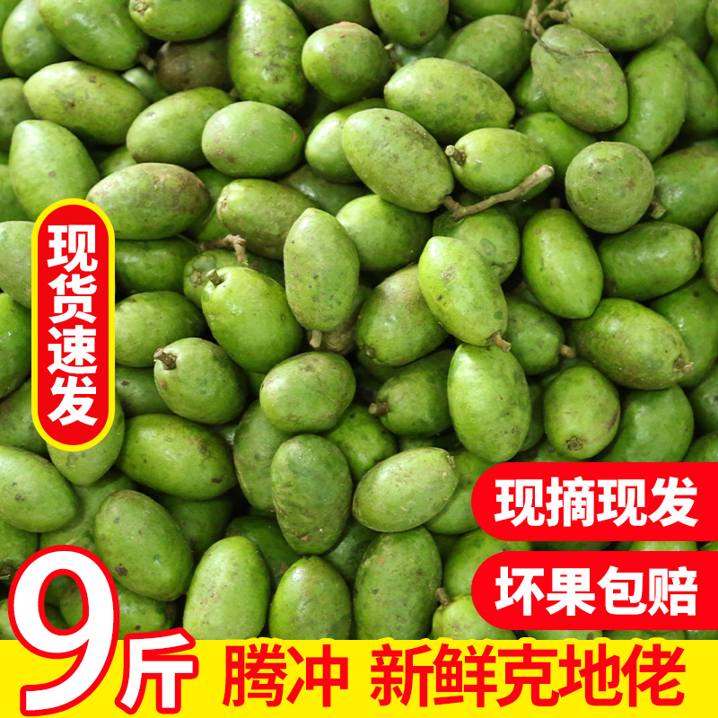 新鲜云南野生青果咳地佬泡酒果脯