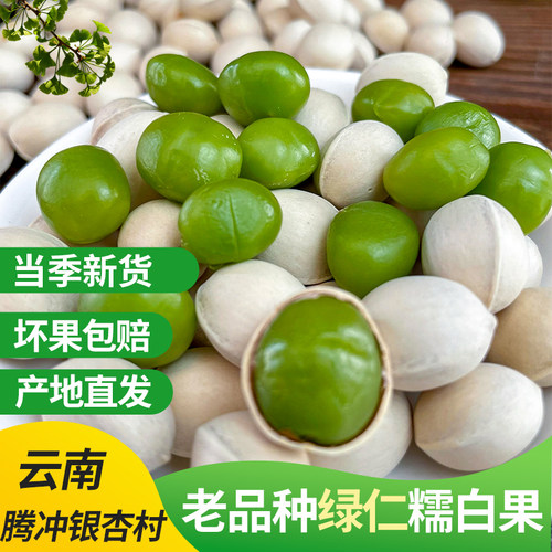 云南腾冲白果绿芯糯白果