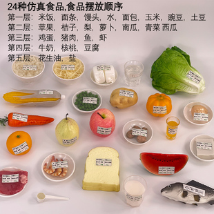 24种仿真膳食食品模型 中国居民膳食平衡金字塔模型 食物交换份