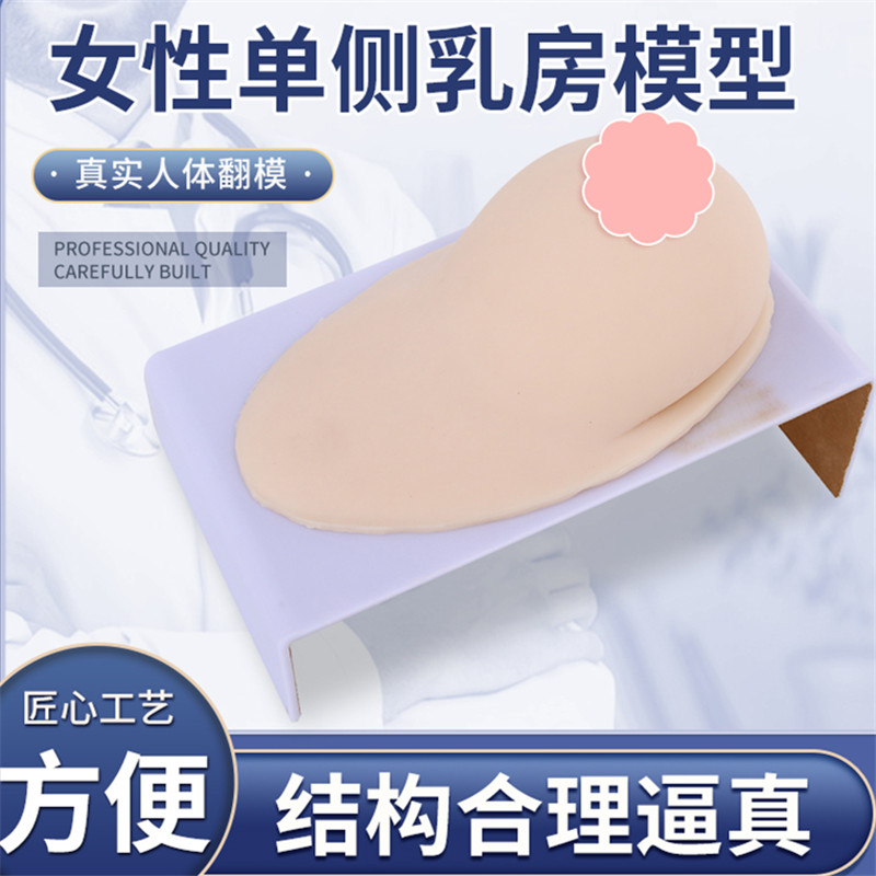 高级医学仿真女性乳房o义乳假乳催乳师培训教具哺乳教学纯硅胶模