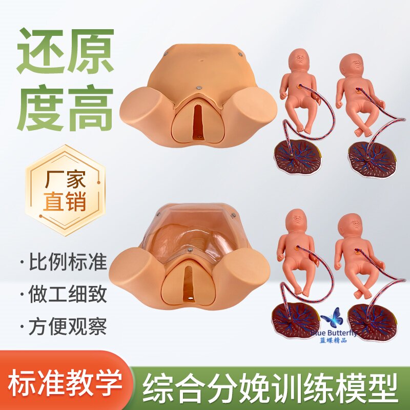 蓝蝶模型高级分娩综合技能训练