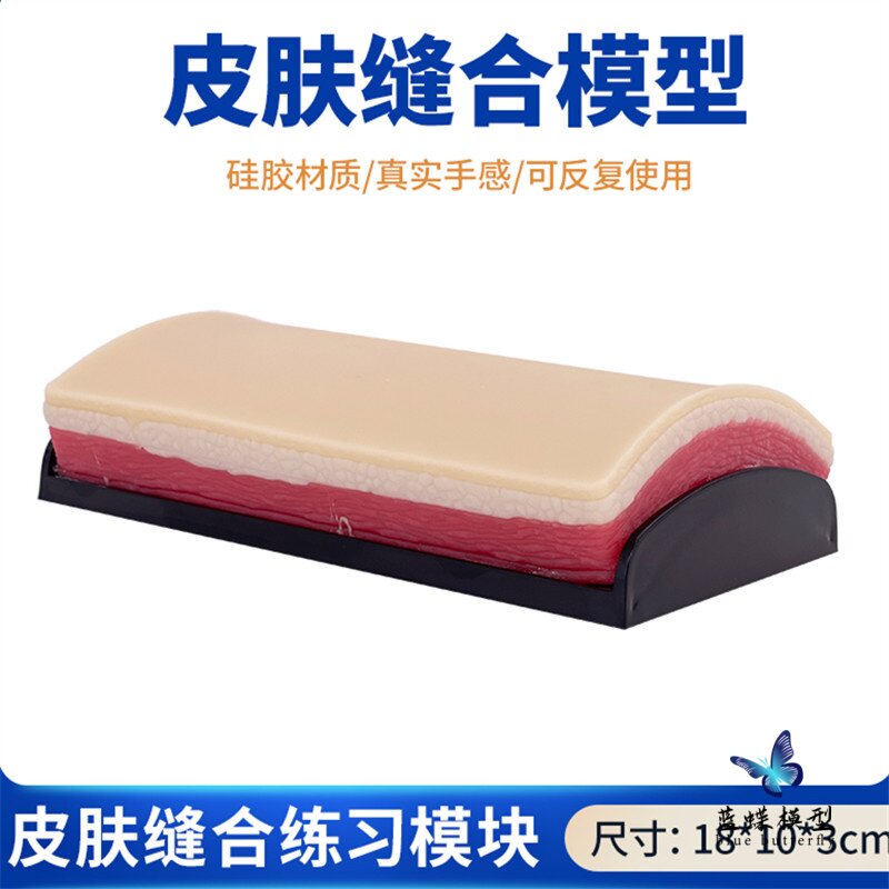 蓝蝶模型外科切开缝合模块教学