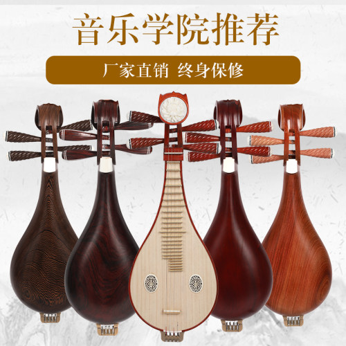 柳琴乐器初学成人红木专业考级