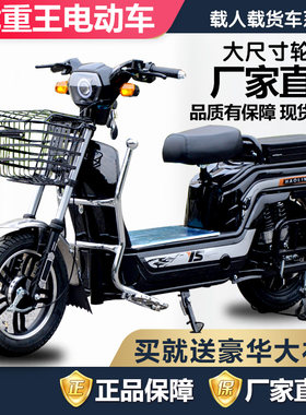 16寸大轮胎载重王电动车