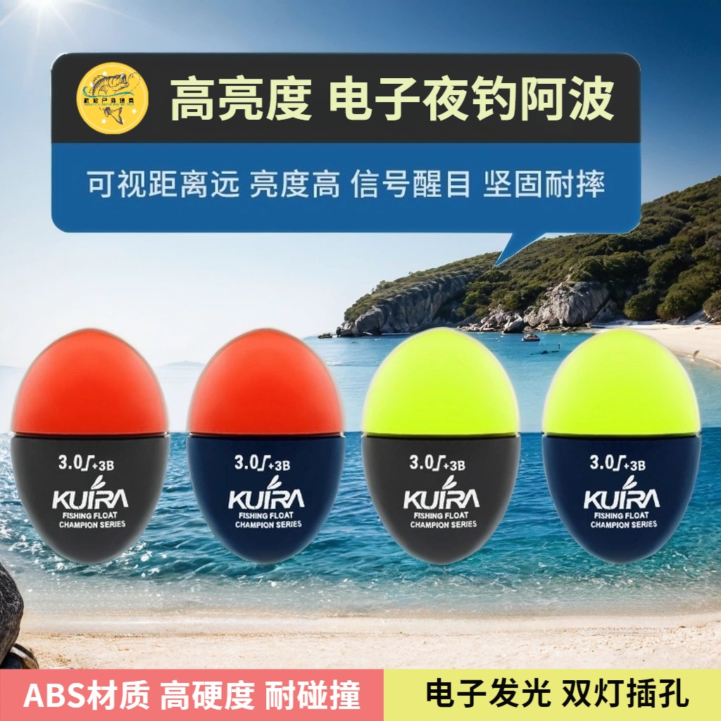 高亮度电子阿波浮漂套装海钓夜钓鱼漂矶钓远投日夜两用浮钓阿波漂