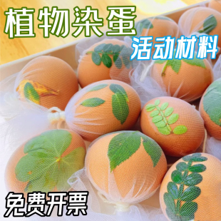 幼儿园立夏植物花草染蛋纱布网袋草木鸡蛋端午节亲子手工活动材料