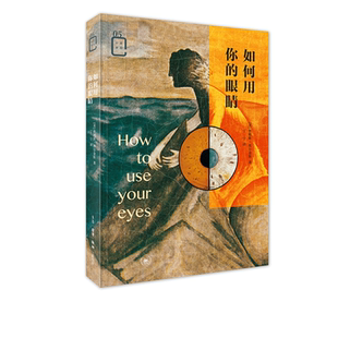 著 詹姆斯·埃尔金斯 丁宁 译 三联书店旗舰店 如何用你 彩图新知 眼睛
