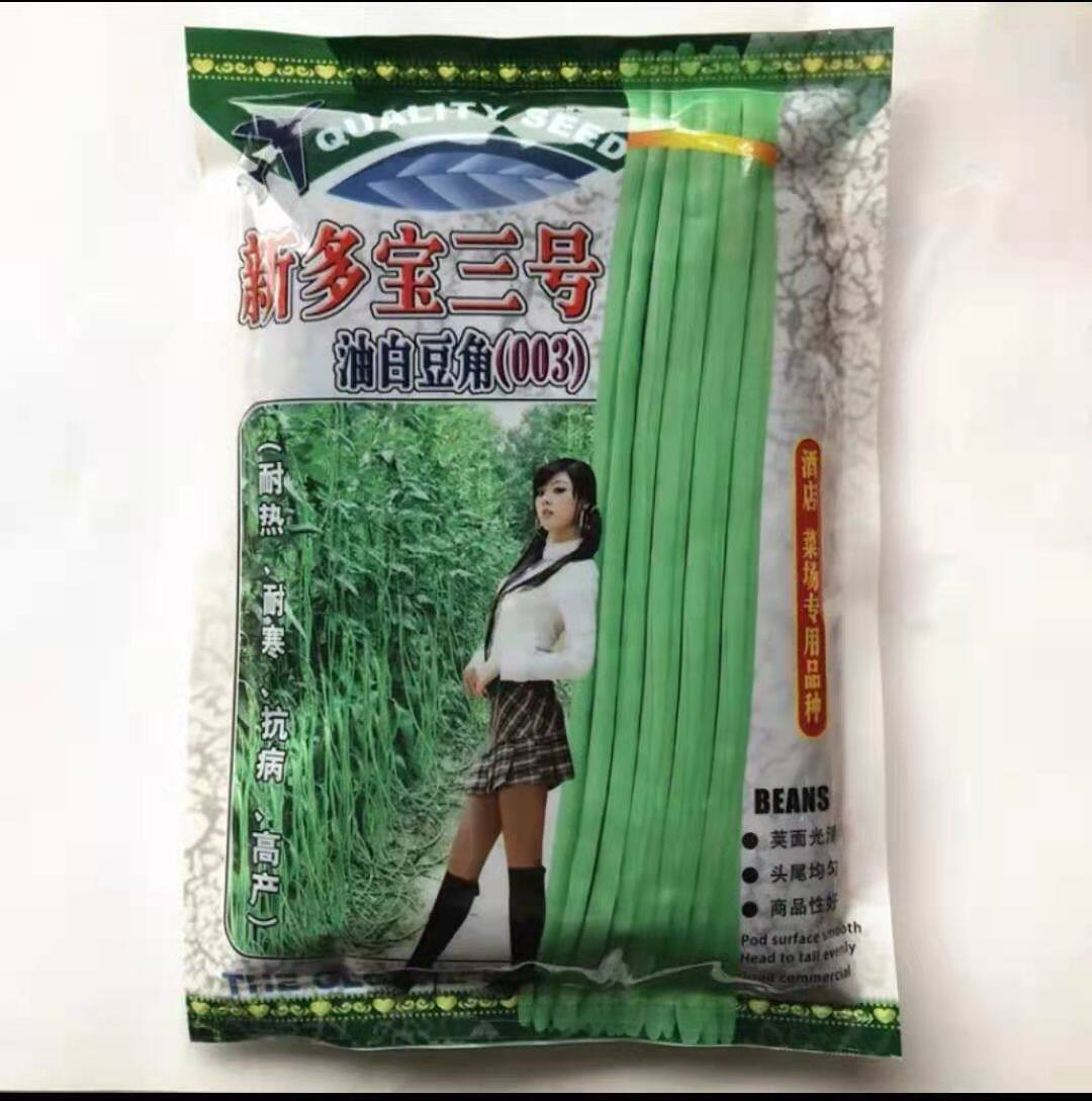 新多宝三号油白豆角种子特长豇豆种籽早熟高产八月豆春秋蔬菜种子
