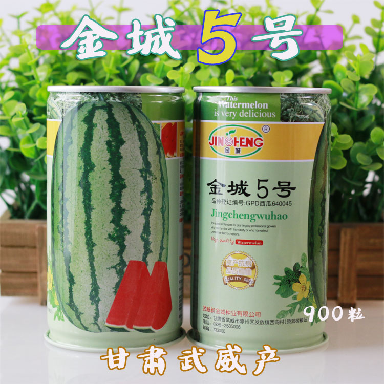 正宗金城5号西瓜种子特大甘肃压砂瓜红瓤高产特耐旱春季原装900粒