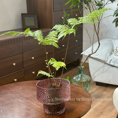 口19高17.5喷色锤纹大号收纳套盆红鳞蕨绿植插花玻璃容器 摆件