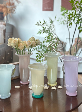 H北欧风现代喷色糖果色装饰玻璃花瓶摆件 水养芍药多头玫瑰花瓶