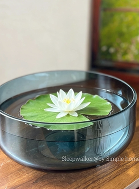 种球专用｜大口径郁金香风信子水仙花种球碗莲专用花盆铜钱草花盆