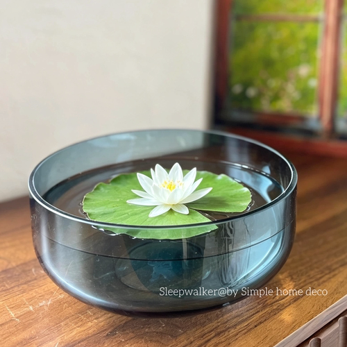种球专用｜大口径郁金香风信子水仙花种球碗莲专用花盆铜钱草花盆