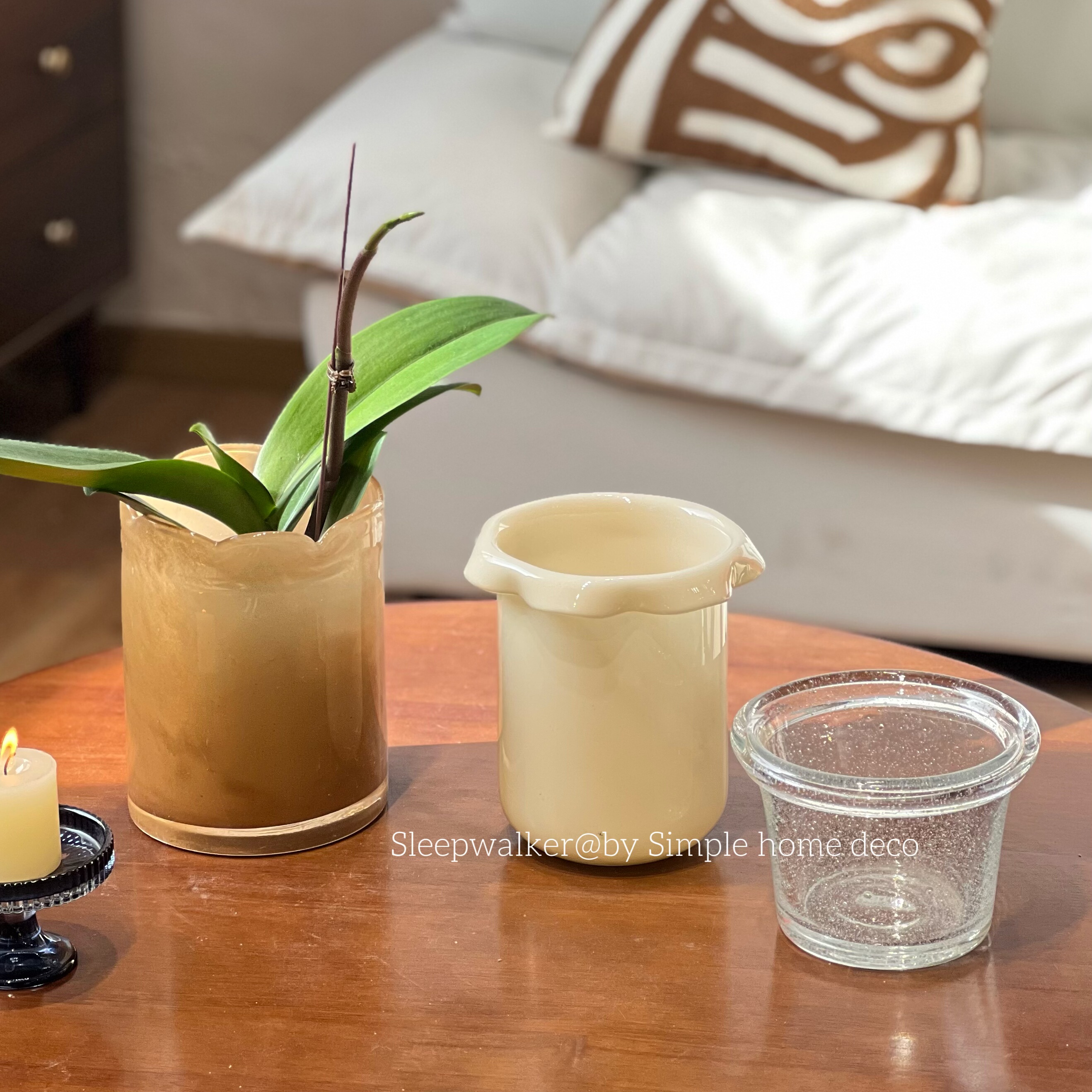 公主兰｜单棵蝴蝶兰套盆 水培铜钱草 收纳桶玻璃花盆