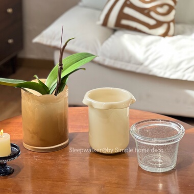 公主兰｜单棵蝴蝶兰套盆 水培铜钱草 收纳桶玻璃花盆