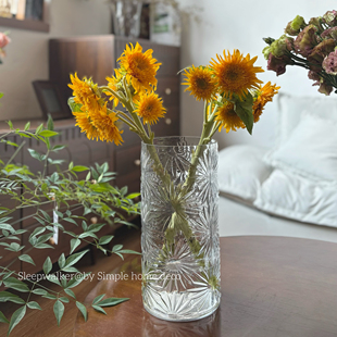 小雏菊｜北欧小雏菊浮雕玻璃花瓶 落地水培玫瑰龟背竹南天竹绿植