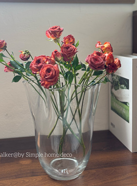 简约ins风透明裙摆造型玻璃花瓶客厅餐桌水养植物插花装饰摆件