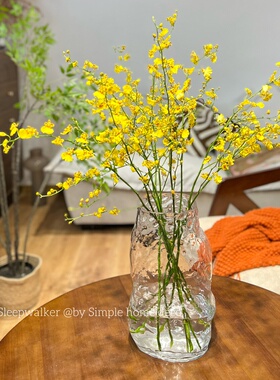 冰川｜口11高32 通透玻璃花瓶简约创意水培绿植鲜花落地装饰摆件