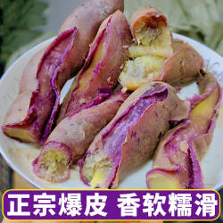 广州南沙一点红番薯 正宗农家沙地红薯新鲜现挖紫心蜜薯地瓜甘薯