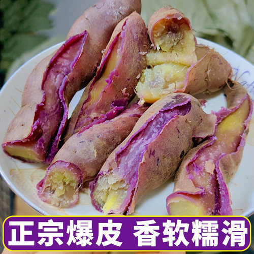 广州南沙一点红番薯新鲜现挖