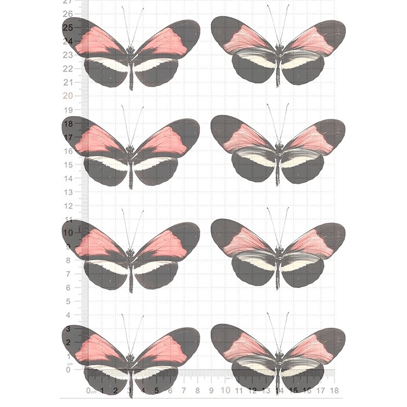 可爱蝴蝶打印热缩片手工diy材料0.2mm热缩图纸