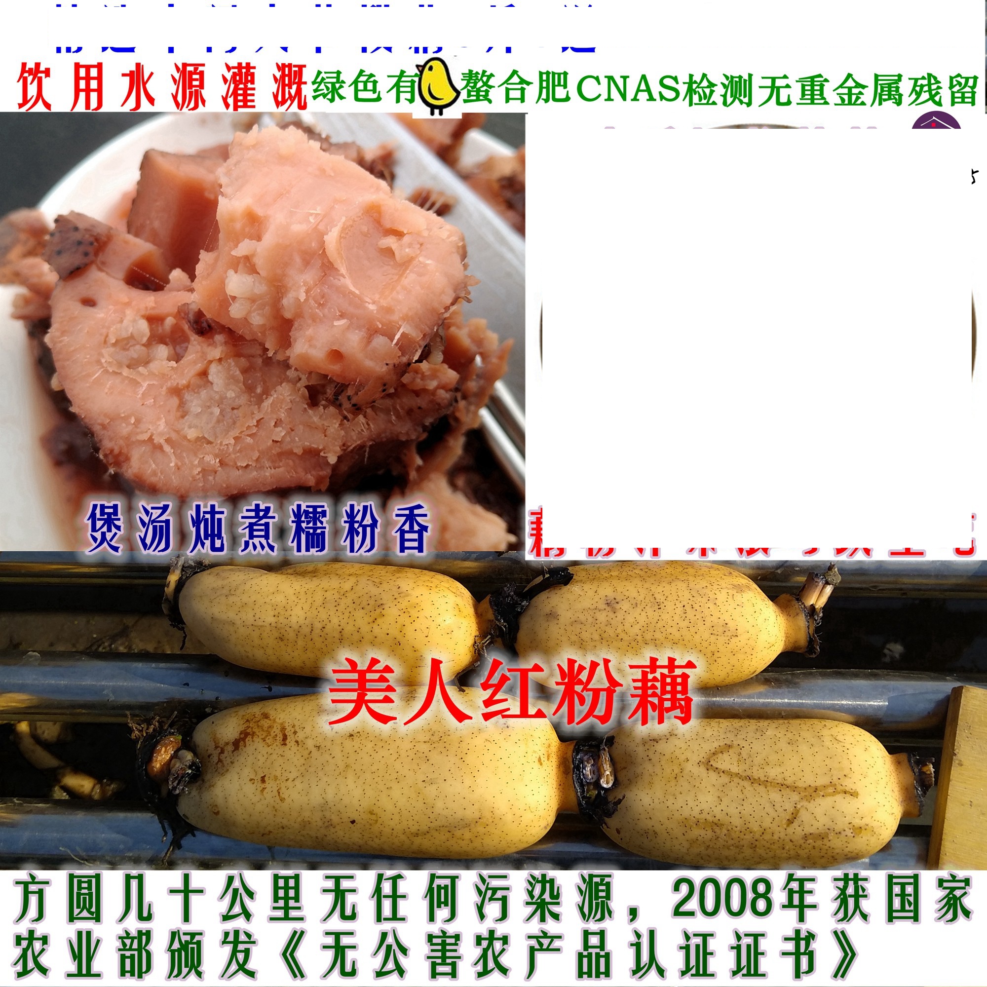 乔小匠坊莲藕有机螯合肥饮用水