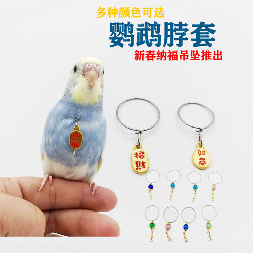 鹦鹉脖套鹦鹉脖链脚链
