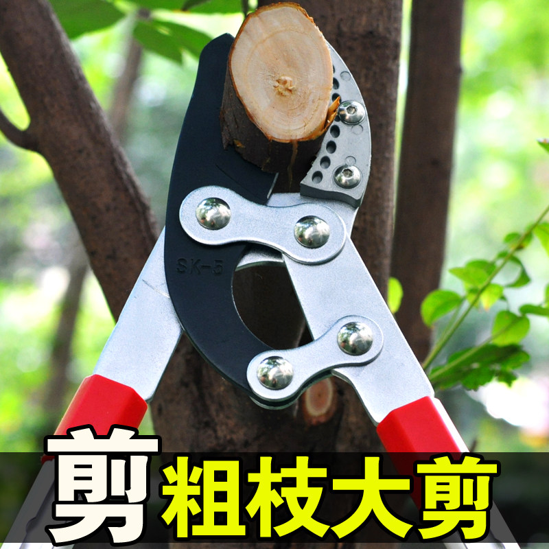 修树枝剪刀粗枝剪修果树剪刀省力修剪树枝剪刀园林剪树枝大力剪刀_虎窝淘