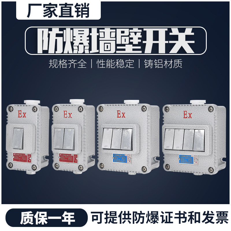 防爆开关墙壁 220v 10a防爆照明开关一位二位三位工业隔爆型开关