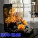 客厅办公水族箱造景 家用造景礼品鱼缸进口水草15L小型鱼缸30L