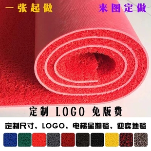 3G丝圈防水门口地垫地毯大面积门垫进门塑料迎宾垫防滑脚垫入门垫