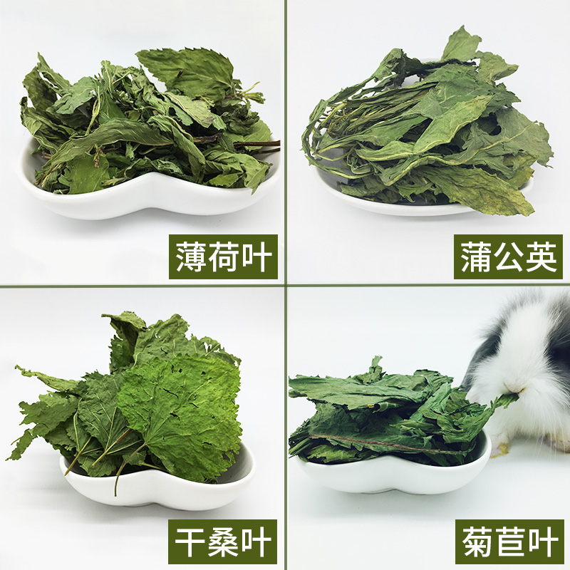小宠零食清新薄荷叶菊苣兔子