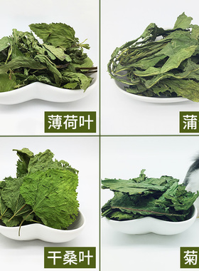 小宠零食清新干薄荷叶桑叶菊苣草蒲公英干草兔子龙猫常备