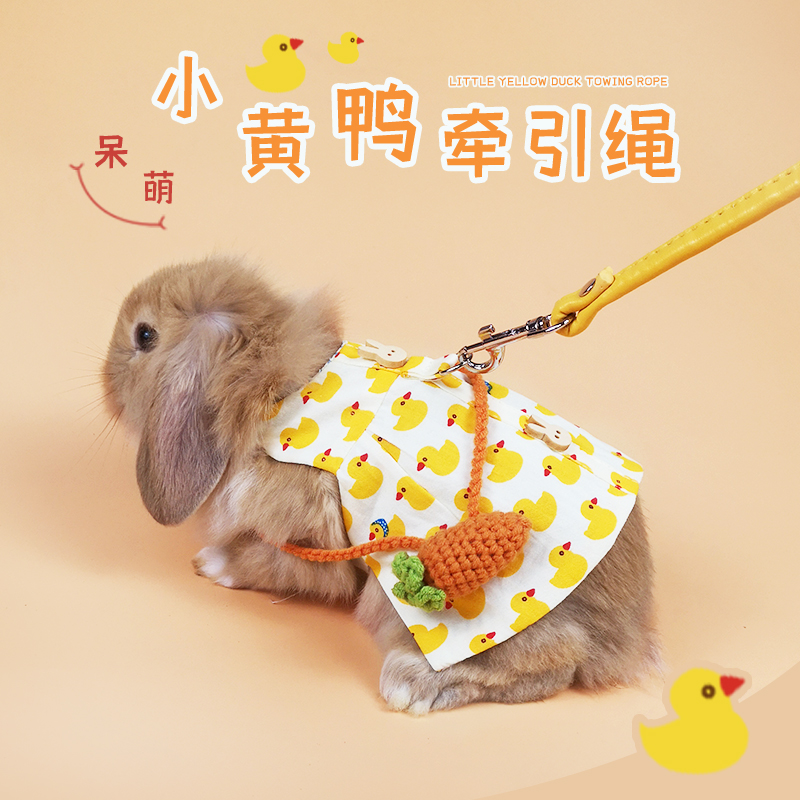 兔子衣服牵引绳宠物兔兔服饰荷兰猪垂耳兔饰品帽子溜兔绳外出牵引,宠物/宠物食品及用品,兔绳,淘宝优惠券,粉丝福利购,淘宝优惠卷
