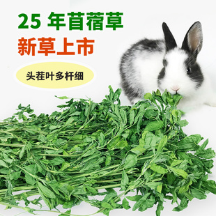 25年新草烘干苜蓿草 兔子豚鼠龙猫幼兔干草牧草饲料兔粮幼兔饲料