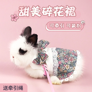 宠物兔子衣服牵引绳兔兔荷兰猪垂耳兔侏儒兔幼兔衣服饰品帽子