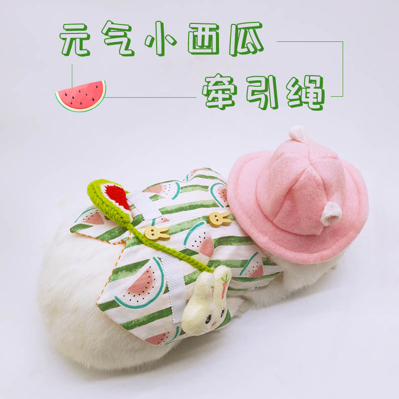 兔子衣服夏季宠物兔遛防挣脱