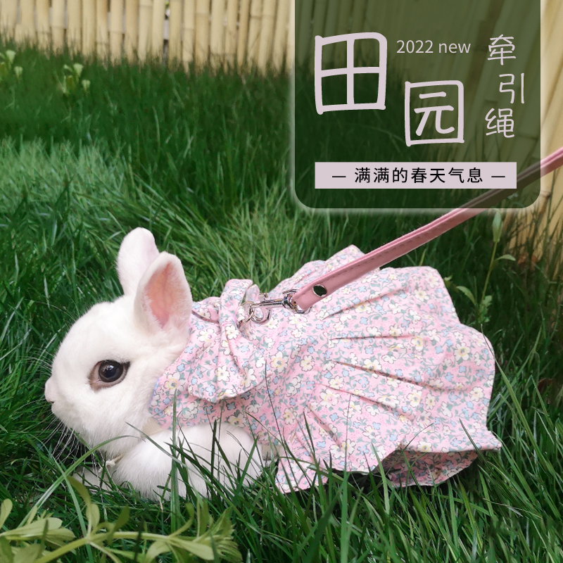 宠物兔子衣服牵引绳田园碎花
