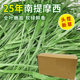 25年南提摩西烘干多叶提摩西草兔子干草兔粮龙猫豚鼠提草净重500g