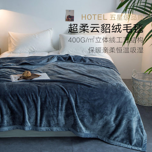 出口日本秋冬云貂绒加厚素色毛毯