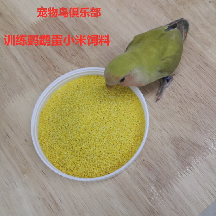 训练鹦鹉蛋小米饲料 适合 虎皮 玄凤牡丹训练食用( 20元500一袋）,宠物/宠物食品及用品,鸟食,淘宝优惠券,粉丝福利购,淘宝优惠卷