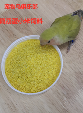 训练蛋小米适合食用20元一袋玄凤