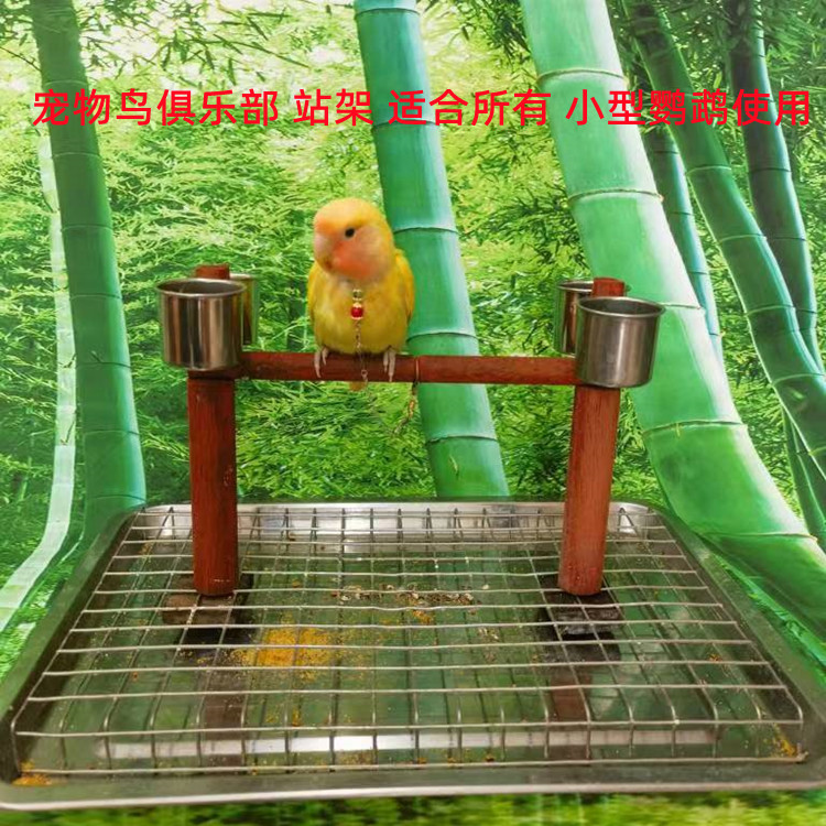 玄风 牡丹虎皮小型 鹦鹉 小站架 底盘加不锈钢丝网 粪便粘不到身