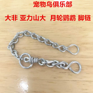 大非 亚力山大 月轮鹦鹉 脚链  现货