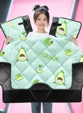 爱玛爱果QB01电动车挡风被冬季四季通用电车加绒加厚电瓶车防风罩