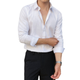 2025春季新男士长袖衬衫商务寸衫风立领衬衫A311-CSZ7786-P53，男装衬衫，电商A311