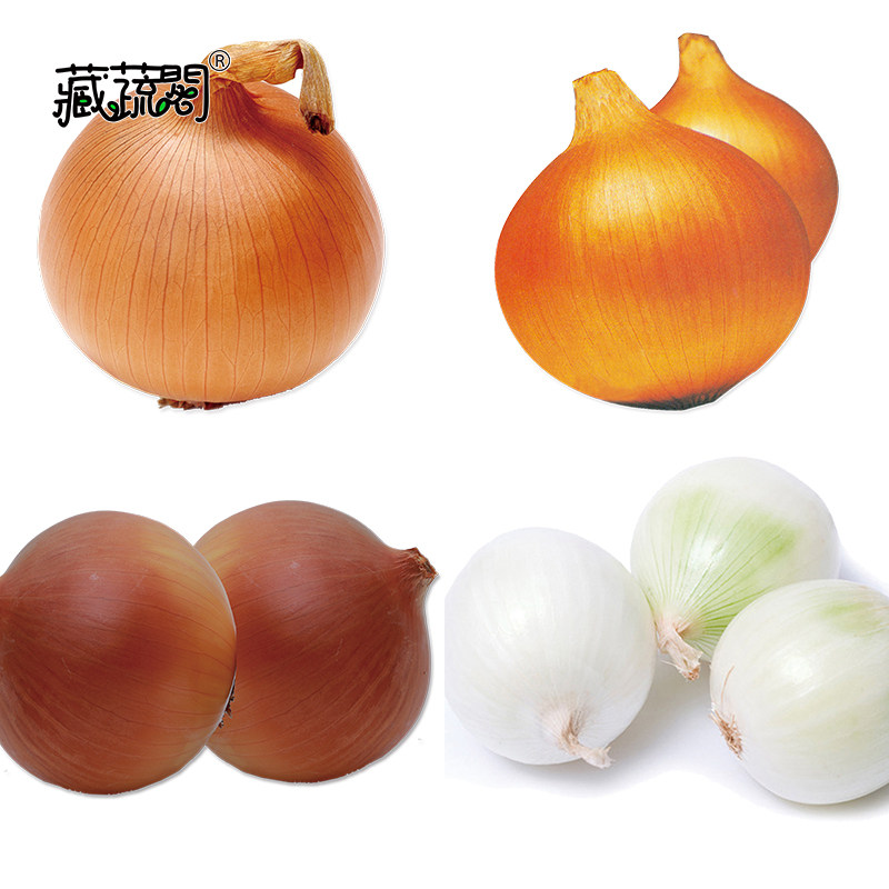 秧苗种子抗性好美味好吃抗病性强