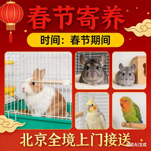蜜袋鼯龙猫兔子蜜袋鼬荷兰猪豚鼠代养宠物北京寄养可接送春节寄养 - 封面